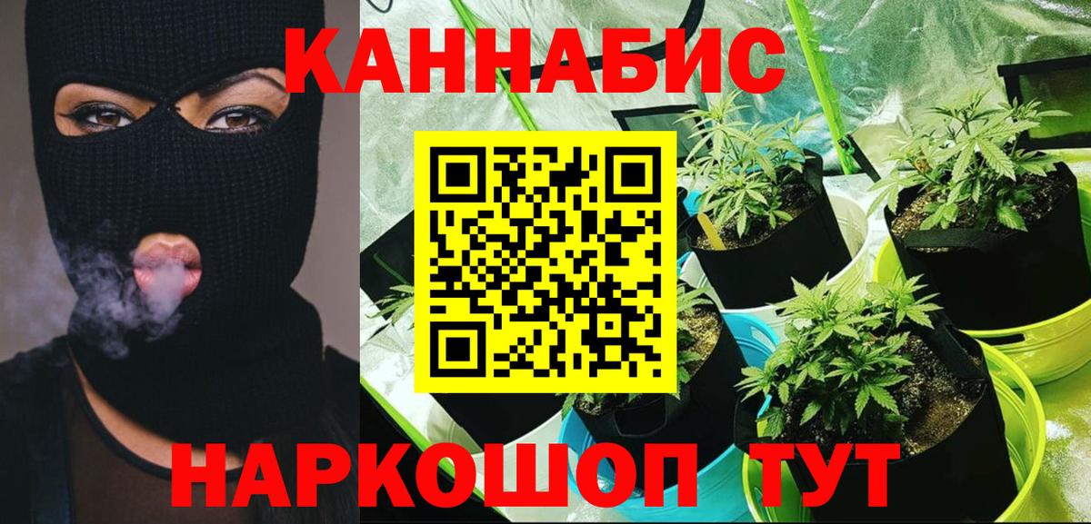 Черняховск  Канабис план  Конопля SATIVA & INDICA  Вход с VPN 